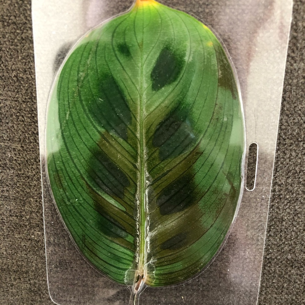 Pressed leaf bookmark